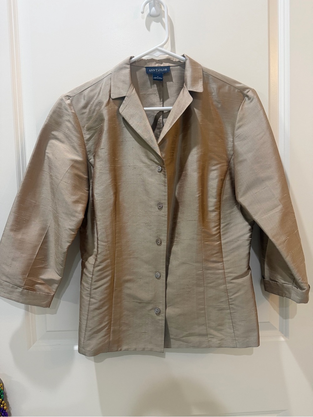 Ann Taylor Raw Silk button-up blazer
